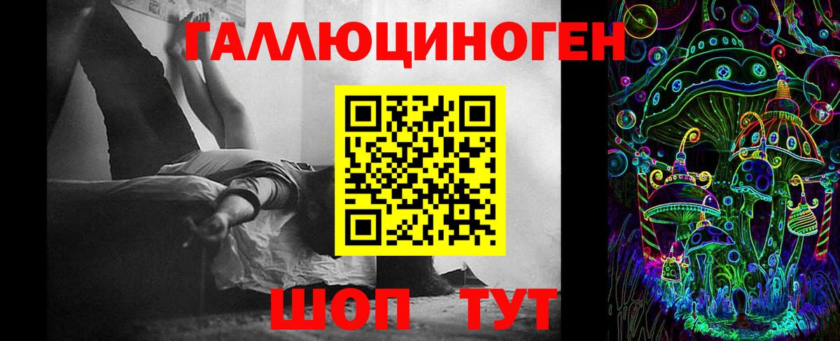 Галлюциногенные грибы Psilocybine cubensis Балабаново