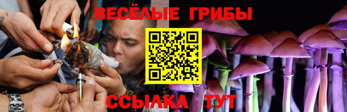 Псилоцибиновые грибы прущие грибы  Вход с VPN  Балабаново 