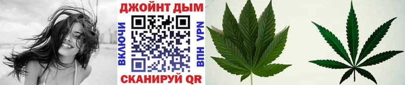 Канабис ГИДРОПОН Балабаново